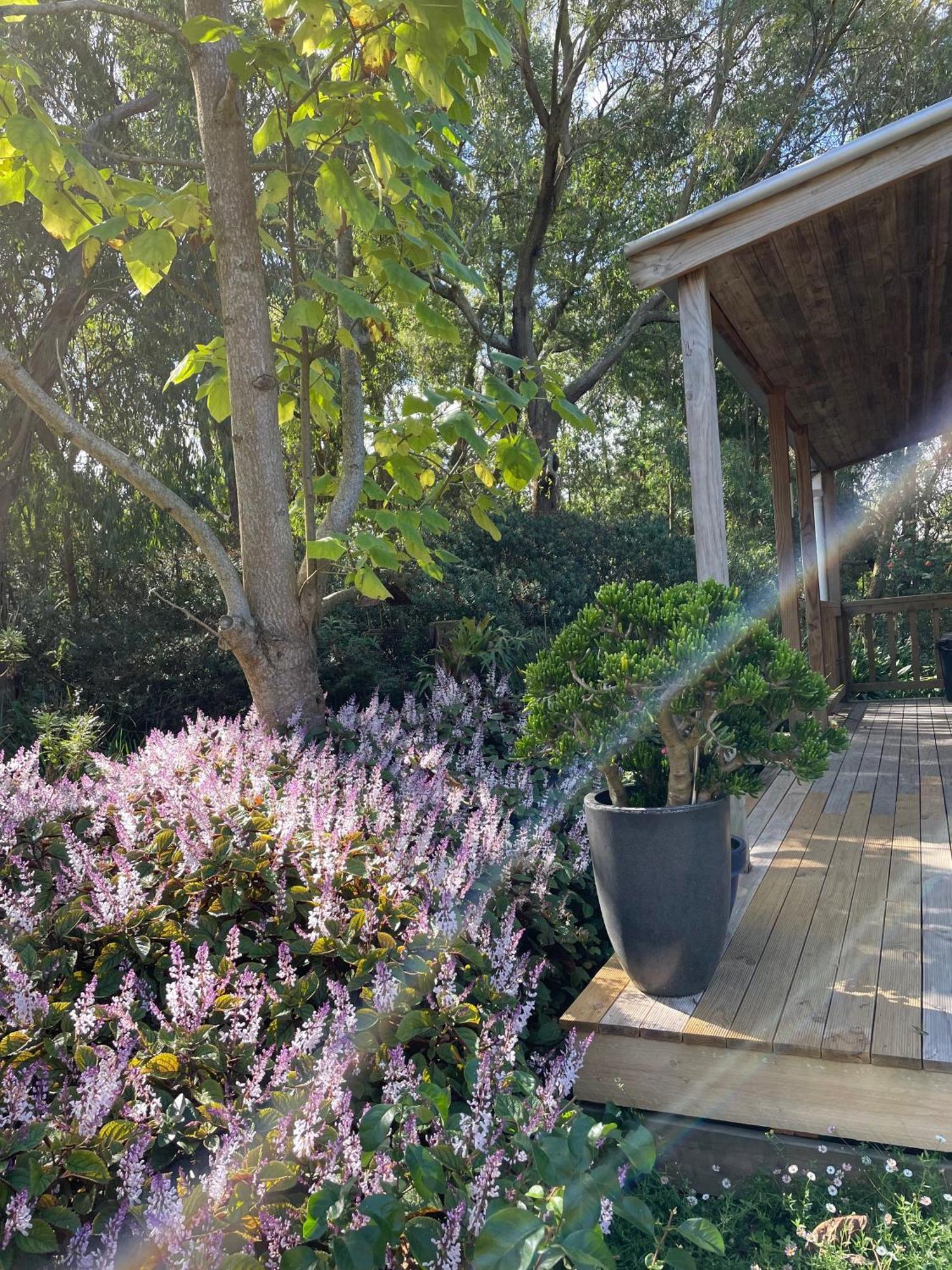 Tindoona Cottages Foster Extérieur photo