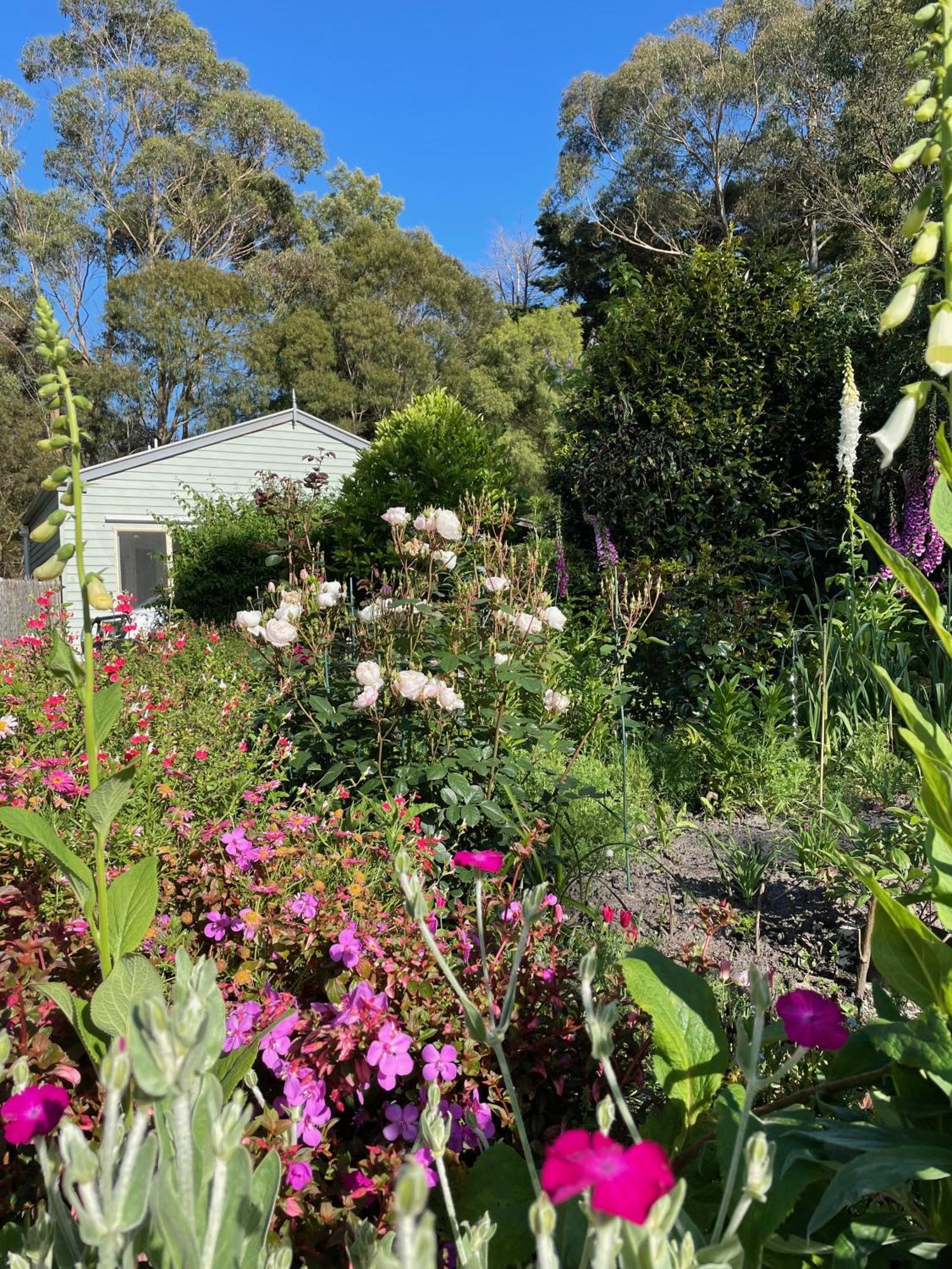 Tindoona Cottages Foster Extérieur photo