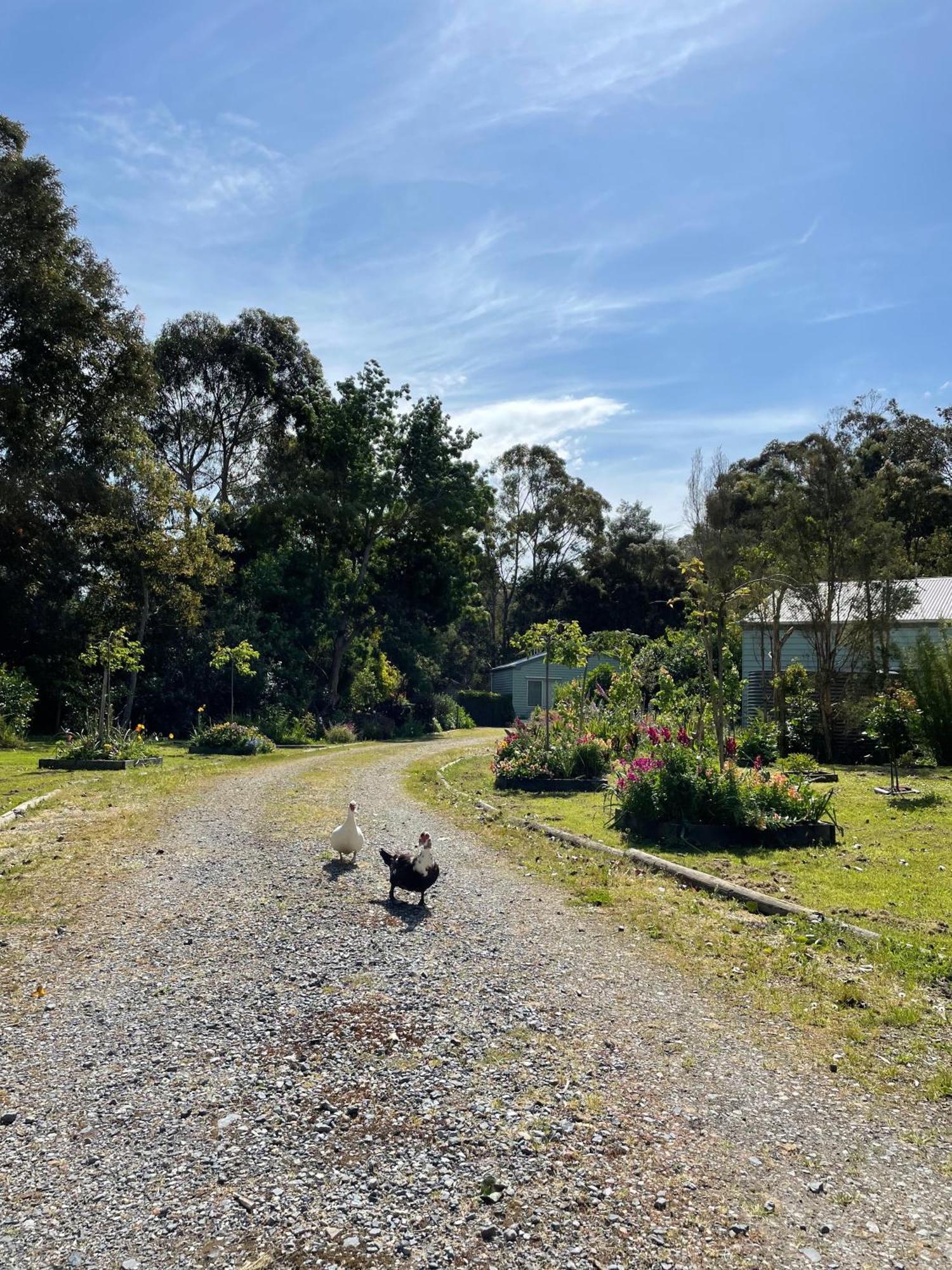 Tindoona Cottages Foster Extérieur photo